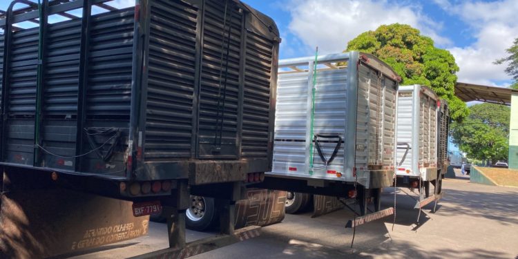 Fiscal Tributário Estadual do Posto Fiscal Jupiá recupera ICMS de gado sem nota fiscal