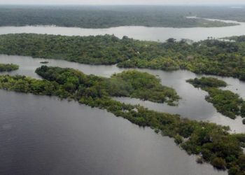Força-Tarefa em Defesa da Amazônia permanecerá mais um ano na região