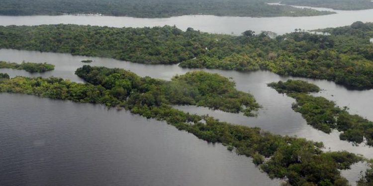 Força-Tarefa em Defesa da Amazônia permanecerá mais um ano na região