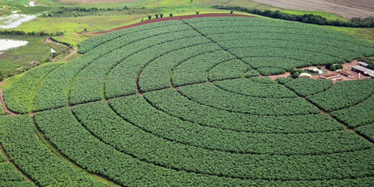 Brasil negocia aumento da importação de potássio da Jordânia