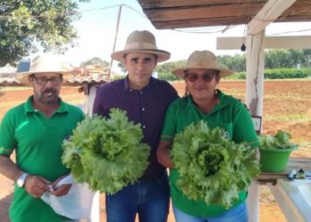 Pequenos produtores ampliam mercado de vendas com planejamento de produção em Costa Rica