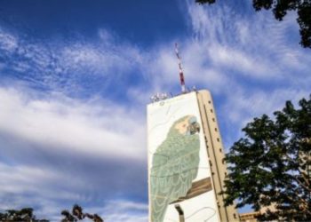 Prepare o tereré: Mato Grosso do Sul terá calor de 35°C e baixa umidade no fim de semana