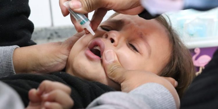 PREVISTAS PARA FINALIZAREM DIA 9, VACINAS DAS CAMPANHAS SEGUEM DISPONÍVEIS EM TODAS AS UNIDADES