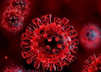 Em média, Mato Grosso do Sul registra 358 casos de Covid-19 por dia