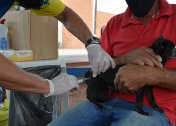 Campanha Antirrábica imuniza 5.802 animais em Costa Rica; vacinação continua no Castramóvel