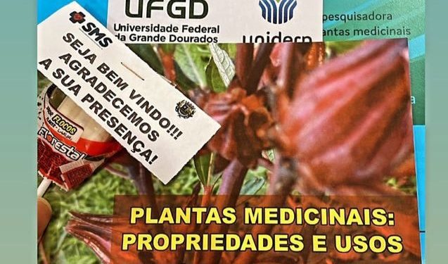 Secretaria Municipal de Saúde em parceria com a UFGD realiza Oficina de plantas medicinais e PANCS – Expansão da Horta Municipal de Alcinópolis