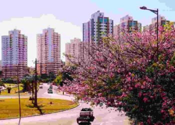 Calor de 40°C e mais chuva no fim de tarde: saiba o que esperar da primavera em MS