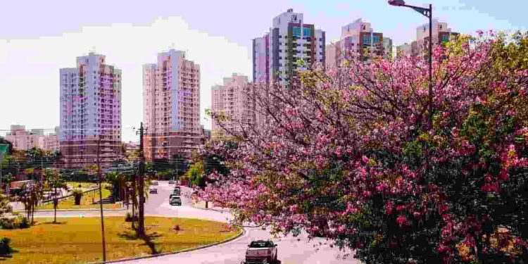 Calor de 40°C e mais chuva no fim de tarde: saiba o que esperar da primavera em MS