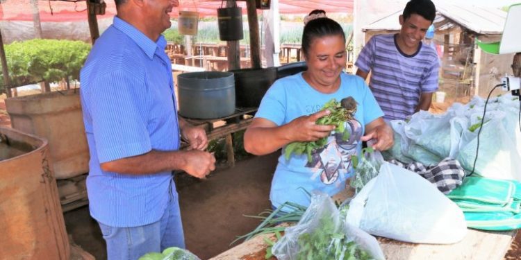 PREFEITURA SE UNE A HORTICULTORES URBANOS PARA IMPULSIONAR ECONOMIA COLABORATIVA EM CAMPO GRANDE