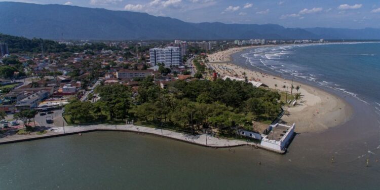 Litoral paulista: em duas semanas, 15 golfinhos são encontrados mortos