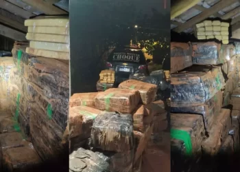 Mulher é presa com mais de R$ 6 milhões em maconha escondida em laje no Jardim Aeroporto