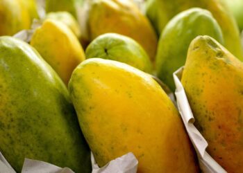 Governo prorroga prazo para cadastro na Agricultura Familiar