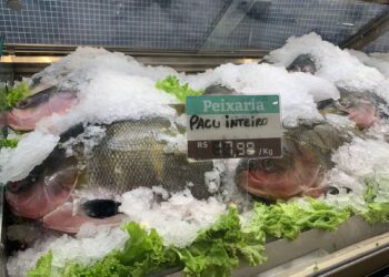 Tradição religiosa aumenta as vendas de peixes na Páscoa