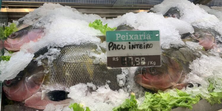 Tradição religiosa aumenta as vendas de peixes na Páscoa