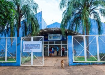 DA CURA DA DEPRESSÃO A VENDAS NO EXTERIOR, INCUBADORAS ACUMULAM HISTÓRIA DE SUPERAÇÃO E SUCESSO