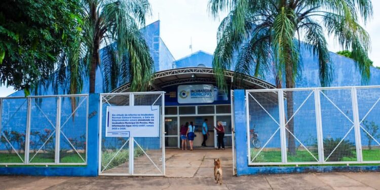 DA CURA DA DEPRESSÃO A VENDAS NO EXTERIOR, INCUBADORAS ACUMULAM HISTÓRIA DE SUPERAÇÃO E SUCESSO