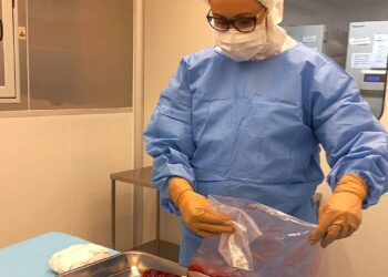 Pesquisa desenvolve curativos biológicos à base de placenta