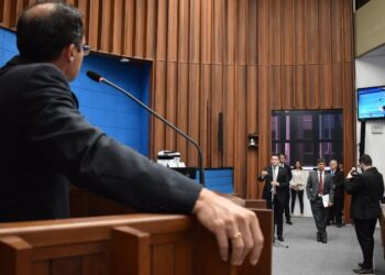 Revitalização e valorização das famílias é debatida em plenário