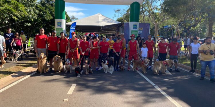 1ª Cãominhada movimentou Parque do Poderes neste domingo
