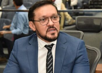 Entidade de Ivinhema de defesa dos animais pode ser declarada de utilidade pública