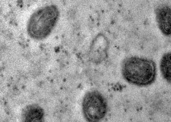 OMS declara fim da emergência em saúde por mpox