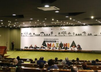 Povos da Amazônia serão protagonistas da proposta brasileira na OTCA