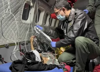 Resgate na selva amazônica: lição de coragem, força e sabedoria