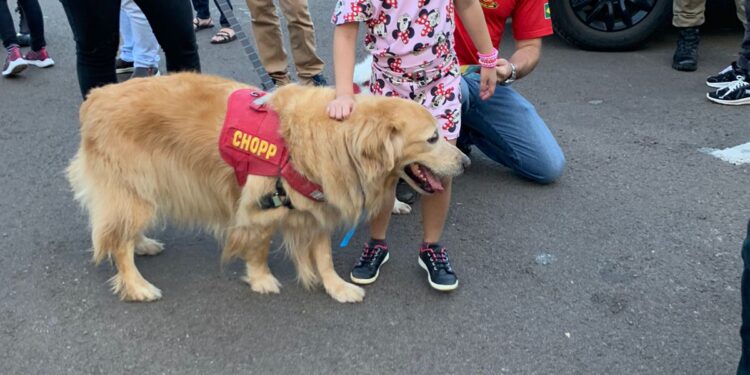 Fim de semana tem programação especial em celebração ao Dia Mundial do Orgulho Autista