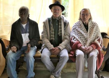 Censo permitirá planejar políticas públicas mais eficientes, diz Tebet