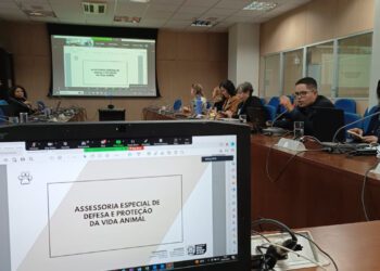 Programa MS Vida Animal é apresentado como projeto modelo no Ministério do Meio Ambiente