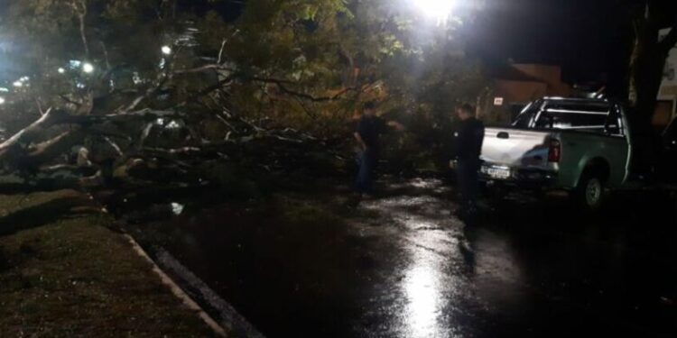 Temporal deixou rastro de destruição e milhares sem energia em Dourados