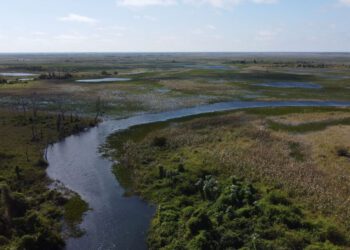 Justiça está a um passo de obrigar fazendeiros a recuperar o Pantanal