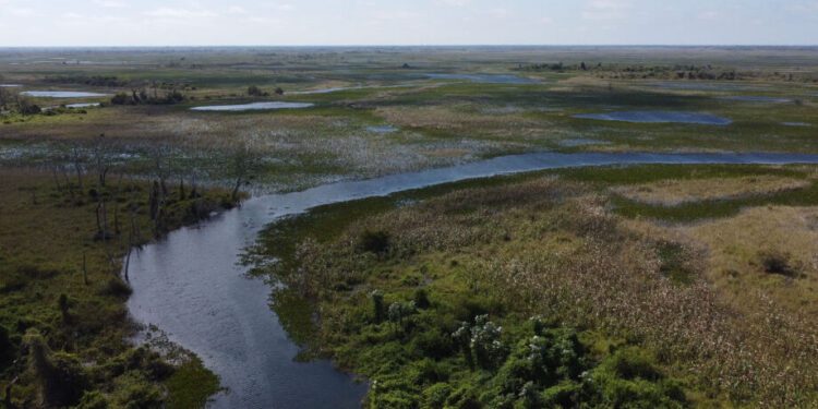 Justiça está a um passo de obrigar fazendeiros a recuperar o Pantanal