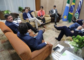 Arauco participa do MS Day em São Paulo