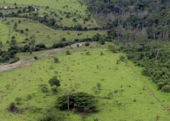 Aberto o prazo para entrega da Declaração do Imposto Territorial Rural