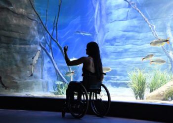 Plano para garantir direitos às pessoas com deficiência será discutido na próxima semana