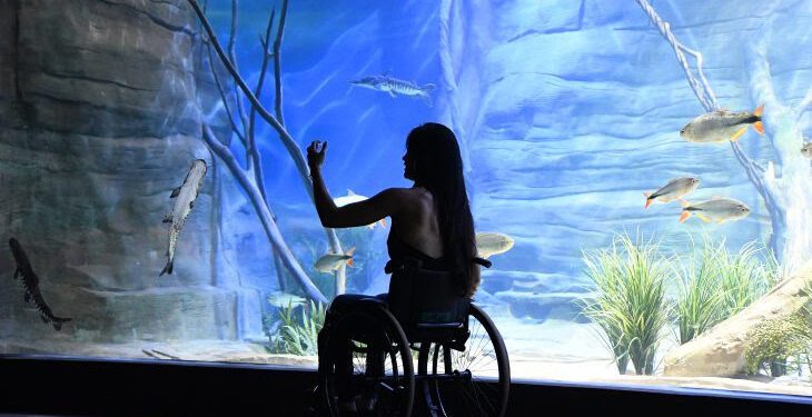 Plano para garantir direitos às pessoas com deficiência será discutido na próxima semana