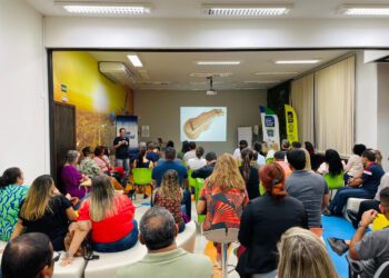 Economia criativa lança encontros regionais para elaborar Plano Estadual do setor em MS