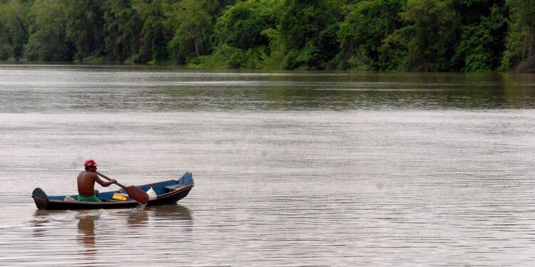 Amazônia Legal terá recursos para projetos de bioeconomia