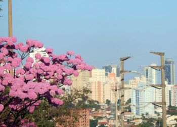 Previsão de sol e altas temperaturas para esta terça-feira em MS