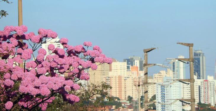 Previsão de sol e altas temperaturas para esta terça-feira em MS