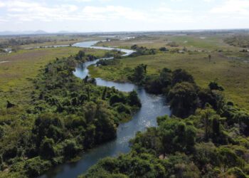 Sem atingir o agro, regulamentação do mercado de carbono pode beneficiar MS