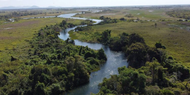 Sem atingir o agro, regulamentação do mercado de carbono pode beneficiar MS