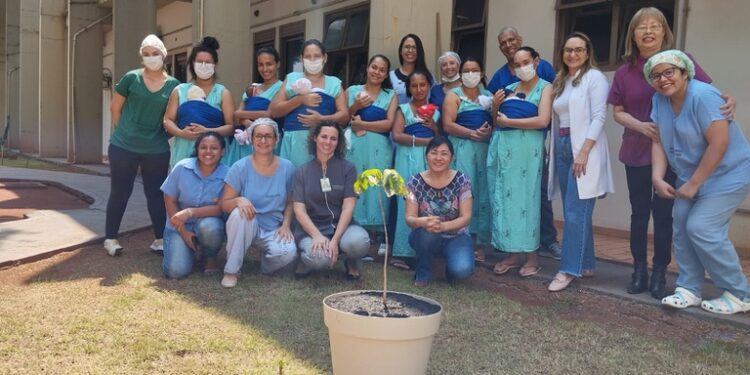 Ipê Branco é plantado no jardim dos prematuros do Humap