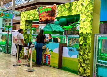 Filme da Patrulha Canina e show de música sertaneja são destaques do fim de semana em Campo Grande