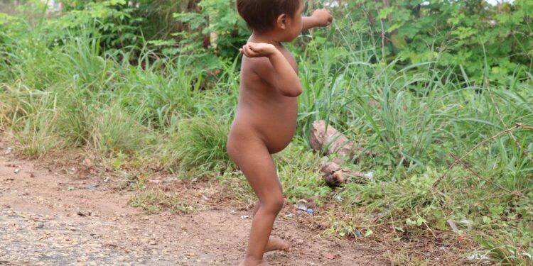 PF investiga desvios de medicamentos destinados aos Yanomami