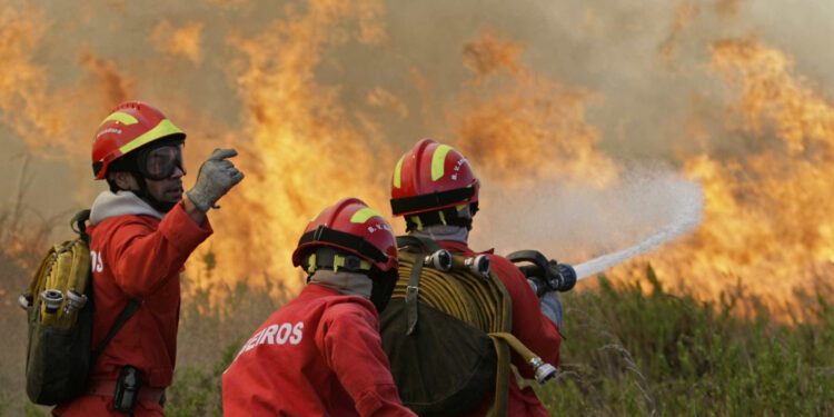 Bombeiros tentam evitar avanço do fogo em refúgio de onças-pintadas no Pantanal