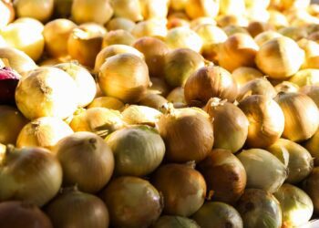 Conab: preço das hortaliças cai nos principais mercados atacadistas