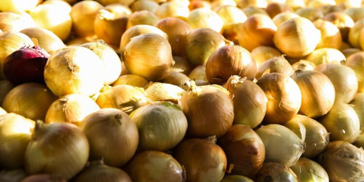 Conab: preço das hortaliças cai nos principais mercados atacadistas