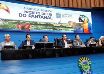 Gerson diz que Lei do Pantanal vai garantir desenvolvimento sustentável